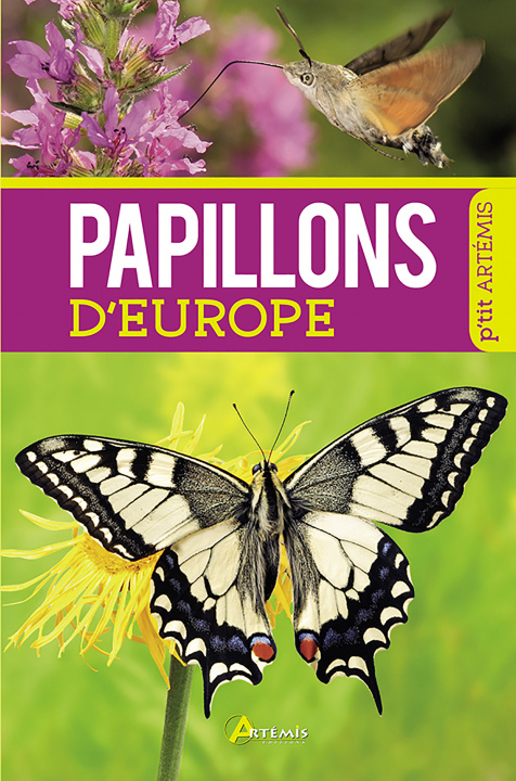 Carte Papillons d'Europe Albouy
