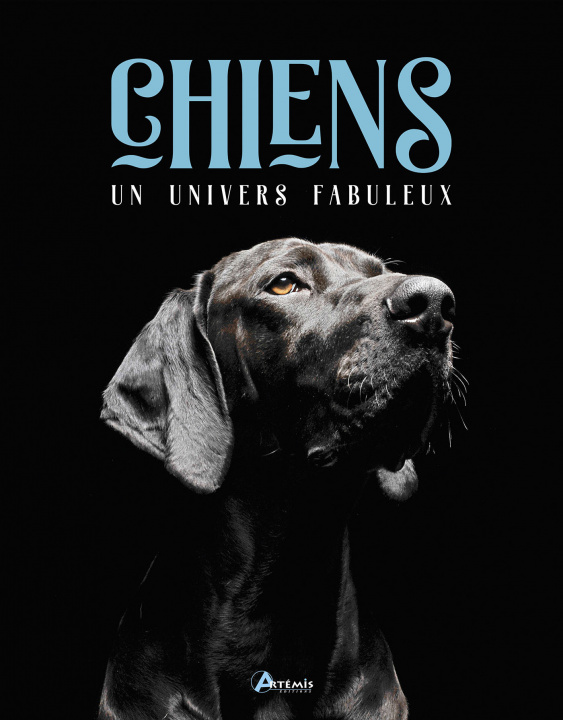 Kniha Chiens, un univers fabuleux ISABELLE COLLIN