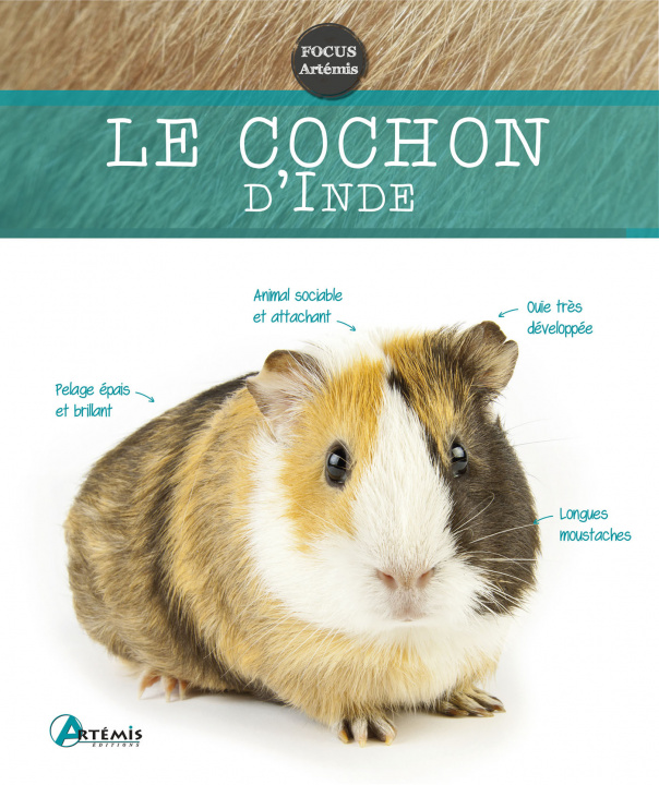 Knjiga Cochon d'Inde 