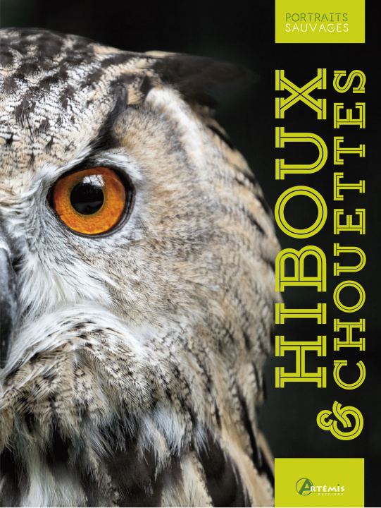 Livro Hiboux & chouettes Cuisin