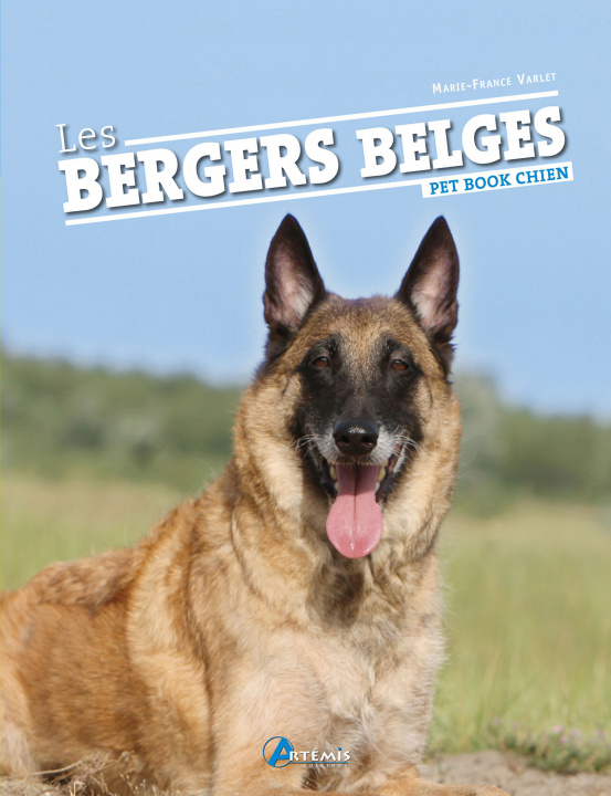 Carte Les bergers belges Varlet