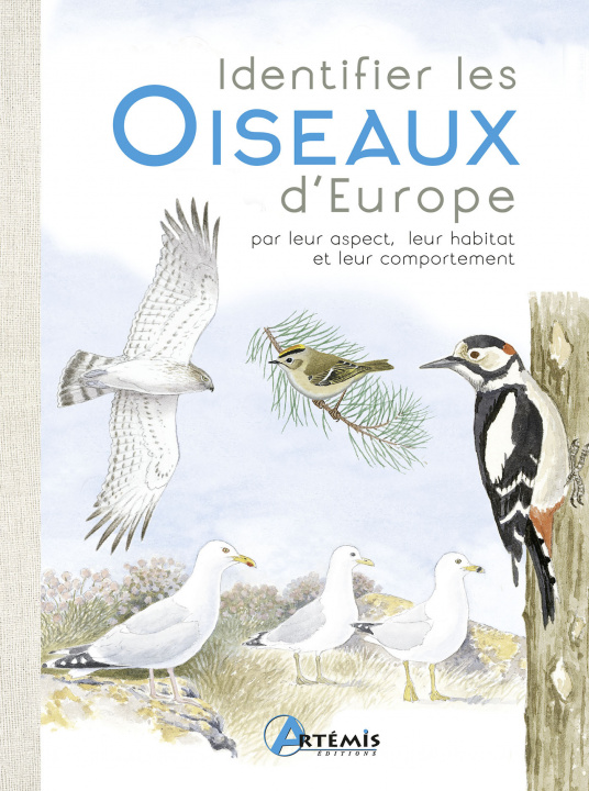 Buch Identifier les oiseaux par leur comportement, leur habitat, etc. DOMINIC COUZENS