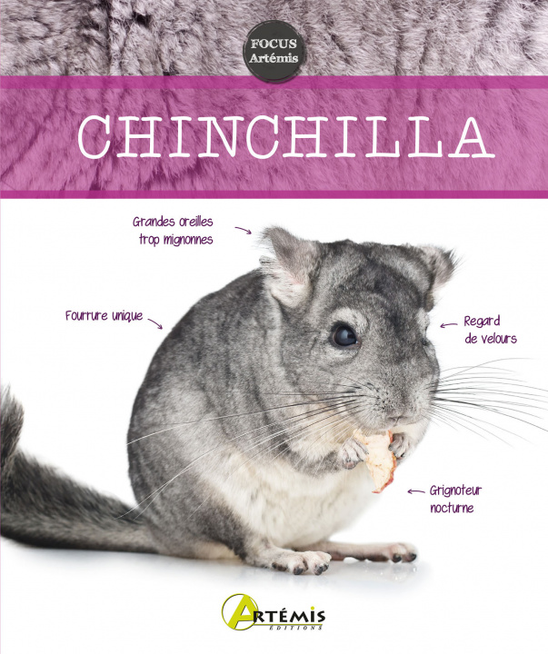 Carte Chinchilla 