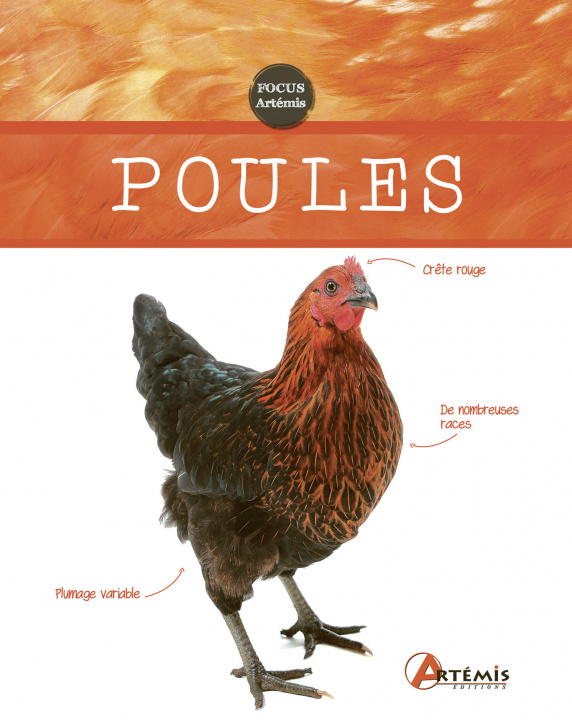 Book Poules Semenuik