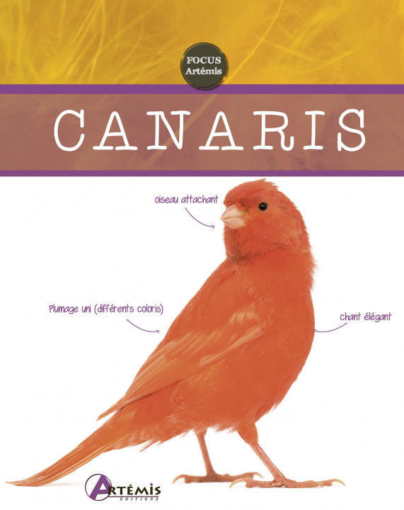 Boek Canaris Hieronimus