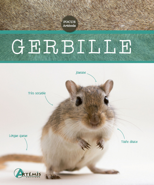 Kniha Gerbille Wendt