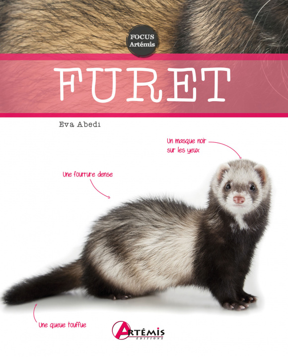 Boek Furet Abedi