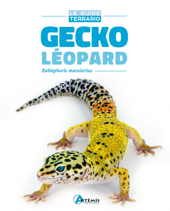 Carte Gecko léopard 