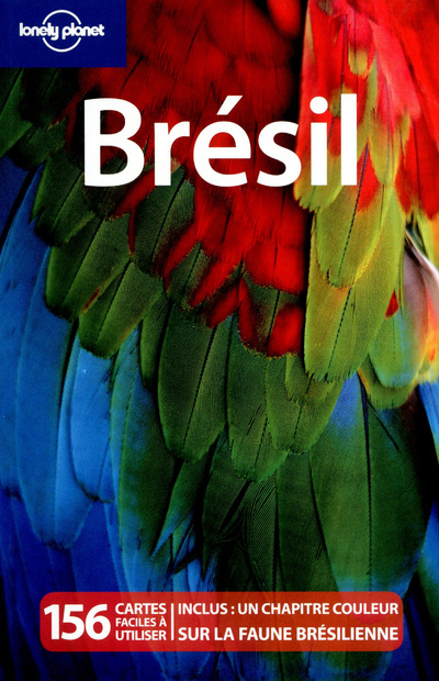 Kniha Brésil 7ed Regis St Louis