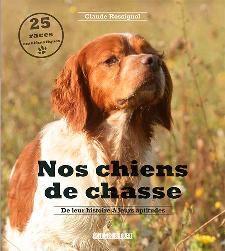 Carte Nos Chiens De Chasse Claude ROSSIGNOL