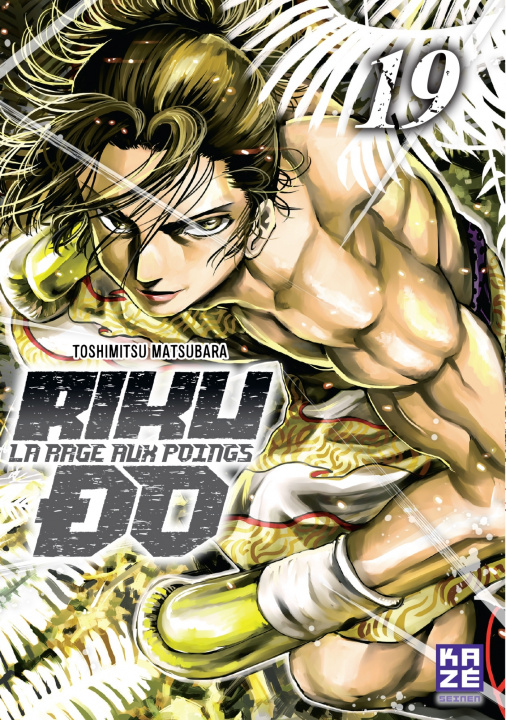 Книга Riku-do T19 