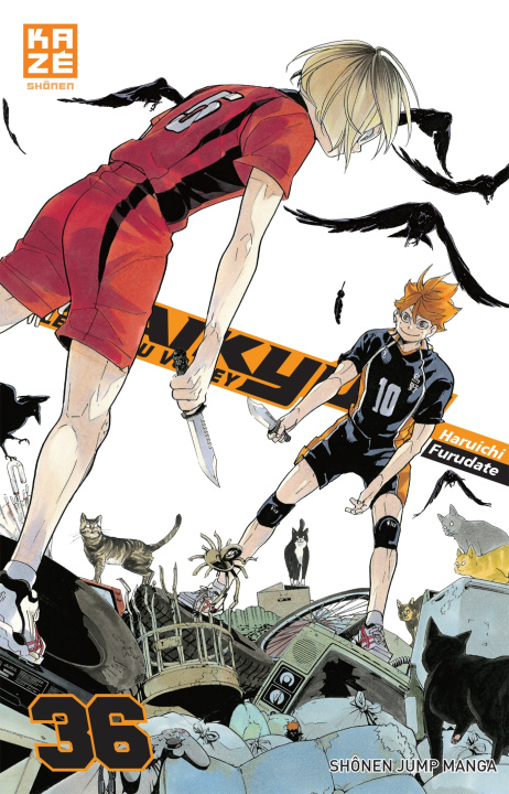 Książka Haikyu T36 