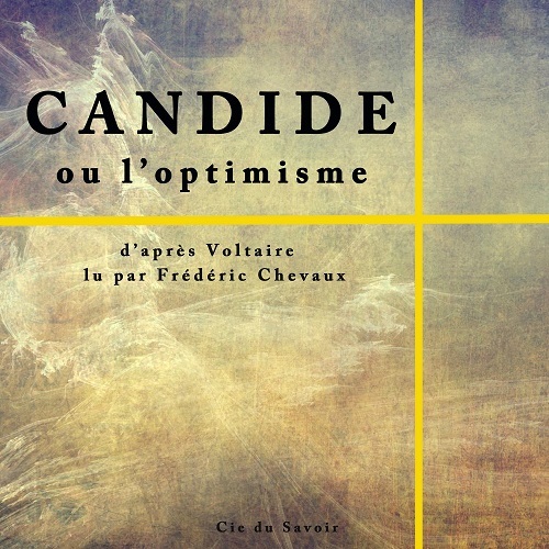 Buch CANDIDE VOLTAIRE