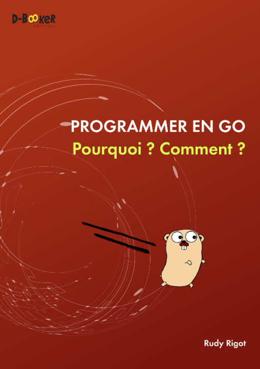 Könyv PROGRAMMER EN GO : POURQUOI ?  COMMENT ? Rigot rudy