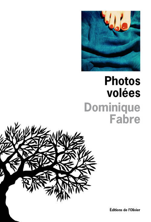 Knjiga Photos volees Dominique Fabre