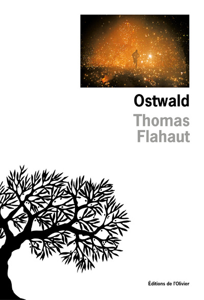 Knjiga Ostwald Thomas Flahaut