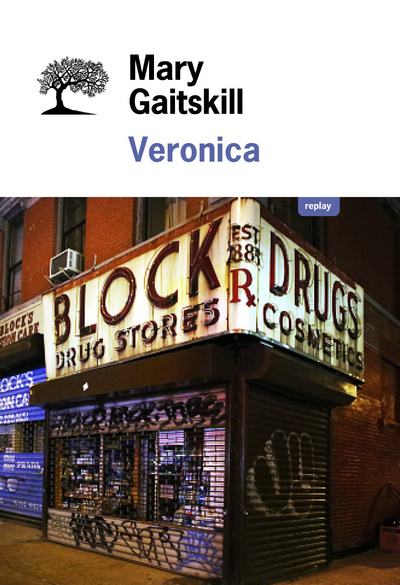 Book Veronica Mary Gaitskill