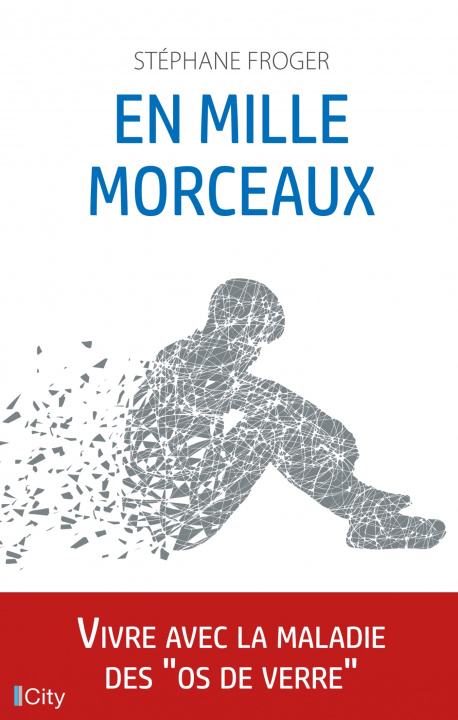 Knjiga En mille morceaux Stéphane Froger