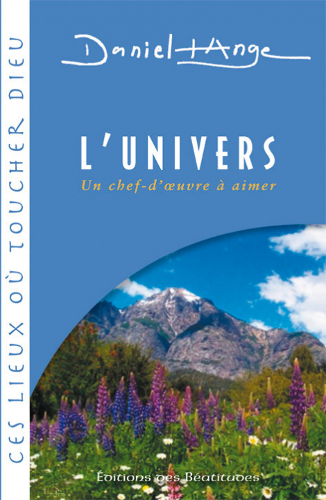 Buch L'univers Ange