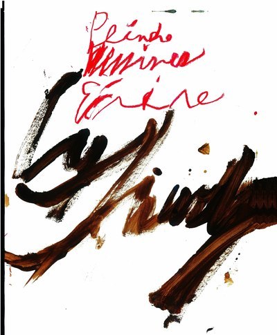 Kniha Cy Twombly Richard Leeman