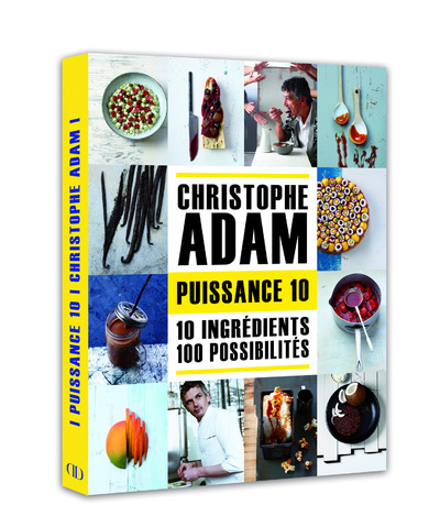 Kniha Puissance 10 Christophe Adam