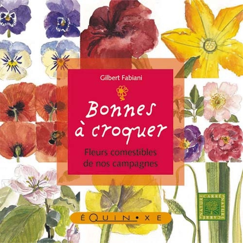 Książka Bonnes à croquer - fleurs comestibles de nos campagnes Fabiani