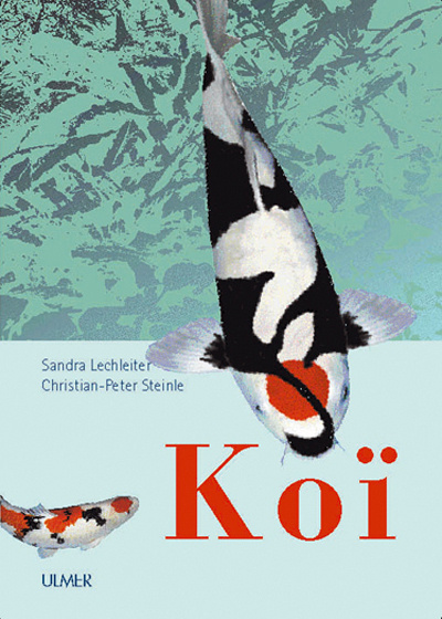 Kniha Koi Sandra Lechleiter