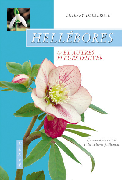 Carte Hellébores et autres fleurs d'hiver Thierry Delabroye