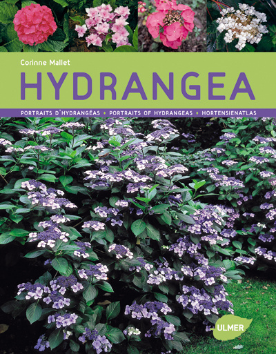 Buch Hydrangeas - Portraits Corinne Mallet