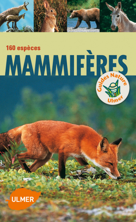 Kniha Mammifères 160 espèces Klaus Richarz