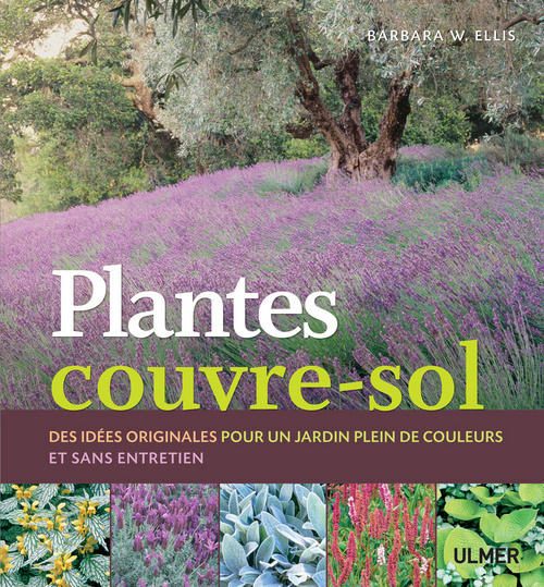 Kniha Plantes couvre-sol. Des idées originales pour un jardin plein de couleurs et sans entretien Barbara W. Ellis