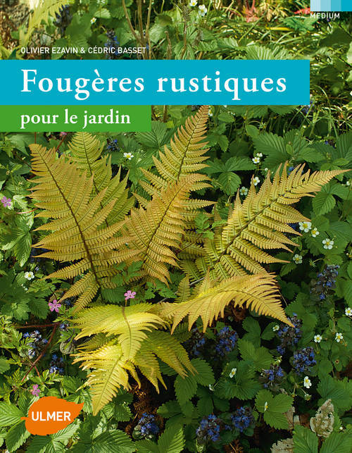 Könyv Fougères rustiques pour le jardin Olivier Ezavin