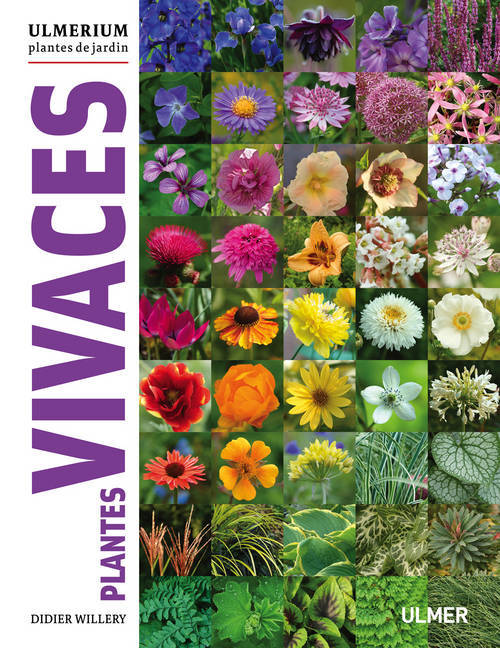 Knjiga Plantes vivaces Didier Willery