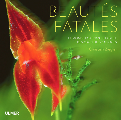 Kniha Beautés fatales. Le monde fascinant et cruel des orchidées sauvages Christian Ziegler