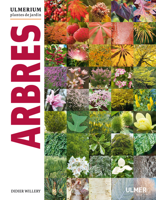 Carte Arbres Didier Willery