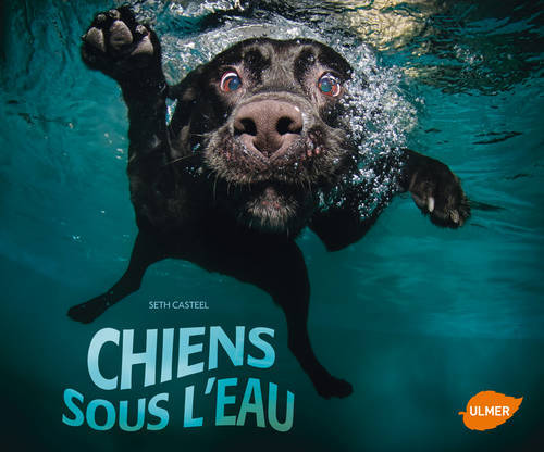 Könyv Chiens sous l'eau Seth Casteel