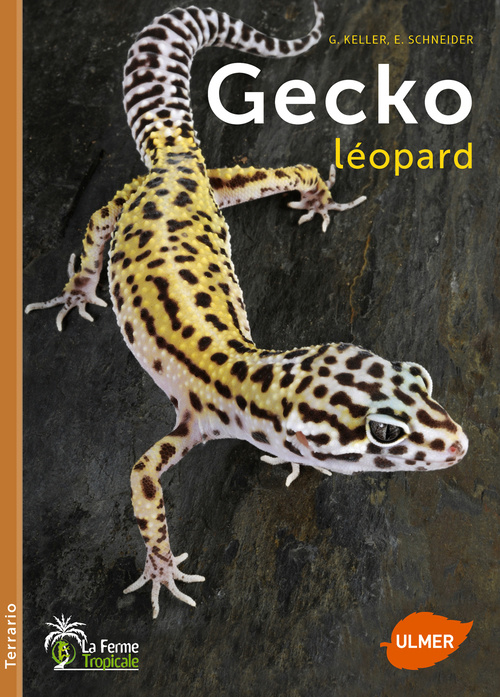 Knjiga Gecko léopard Gerti Keller