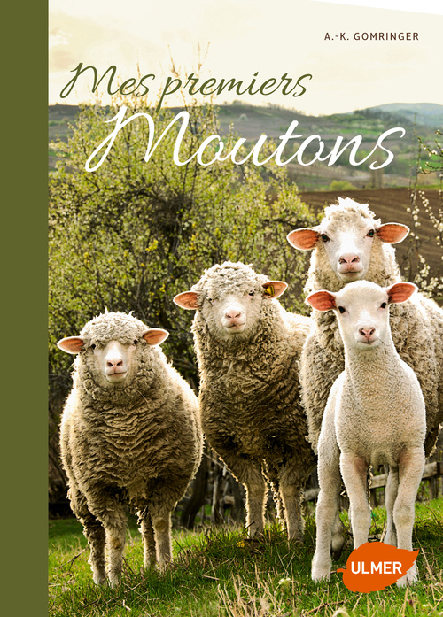 Carte Mes premiers moutons Anne-Kathrin Gomringer