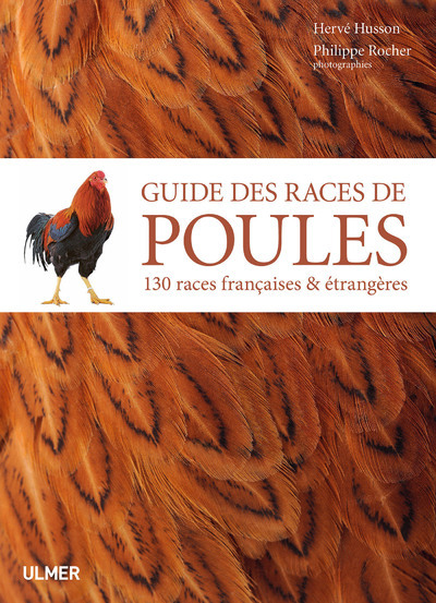 Kniha Guide des races de poules - 130 races françaises & étrangères Hervé Husson