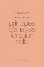 Kniha Principes d'analyse fonctionnelle WILLEM