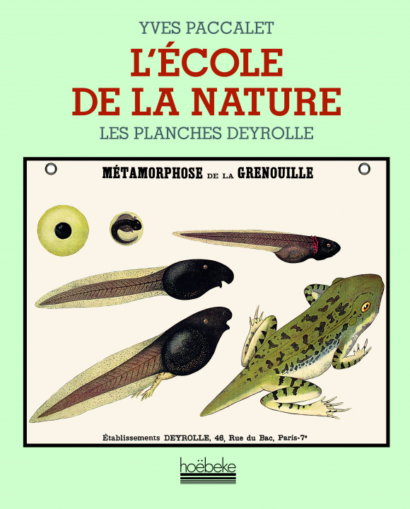 Buch L'école de la nature Paccalet