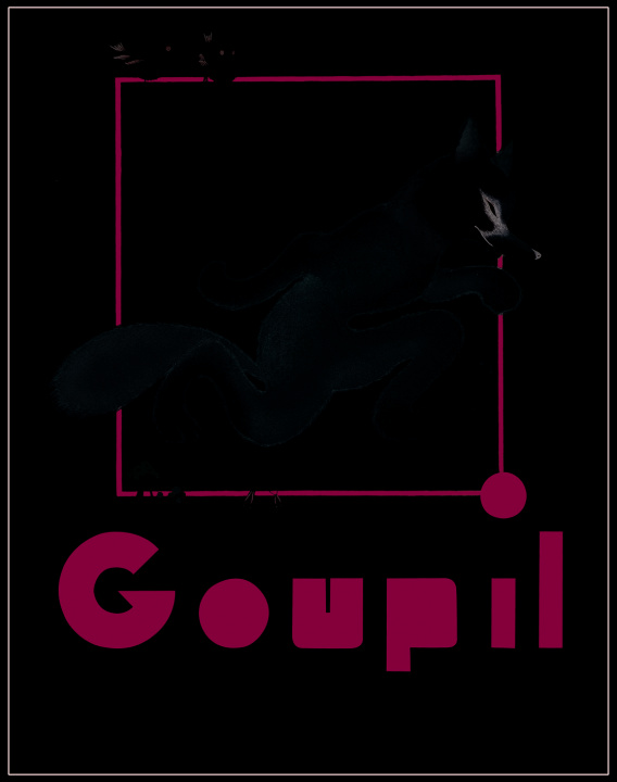 Buch Goupil Samivel