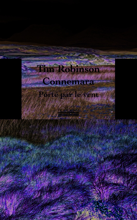 Könyv Connemara Robinson