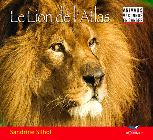 Carte Le lion de l'atlas SILHOL Sandrine