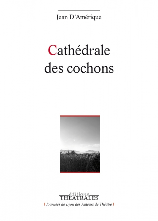 Knjiga Cathédrale des cochons D'AMERIQUE JEAN