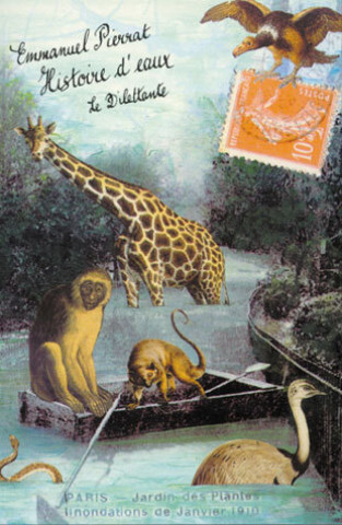 Knjiga Histoire d'eaux PIERRAT EMMANUEL