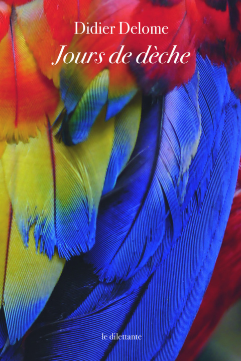 Knjiga Jours de dèche DIDIER DELOME