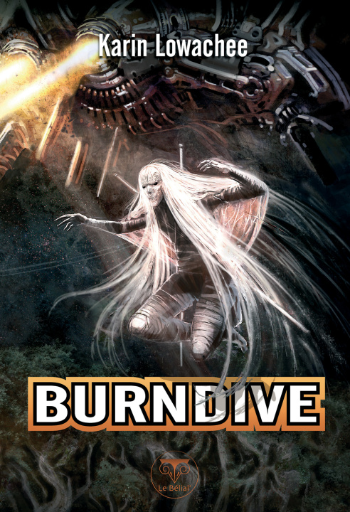 Book Burndive Lowachee