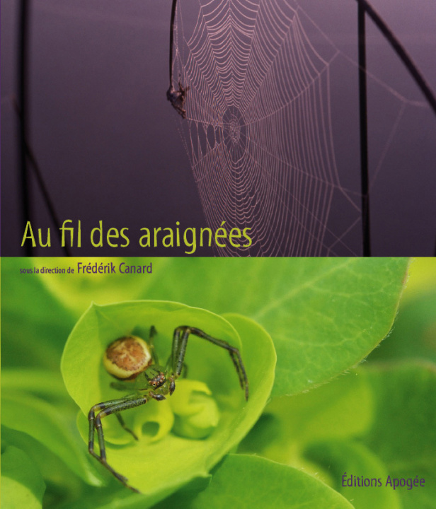 Książka Au fil des araignées collegium
