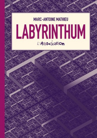 Book Labyrinthum Marc-Antoine Mathieu
